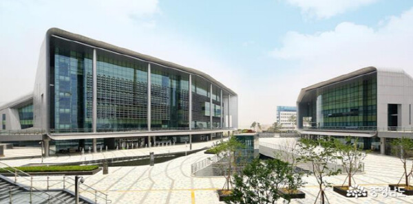 충청남도, 고병원성 AI 의사환축 농장 첫 발생