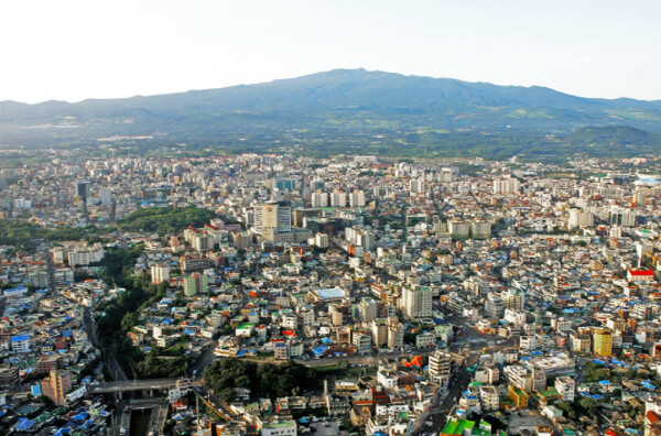 제주시, 벌꿀 등급제 내년 본격화 &...