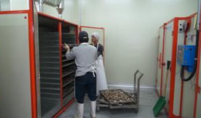 농촌진흥청, 약용작물 수확 후 관리 ...