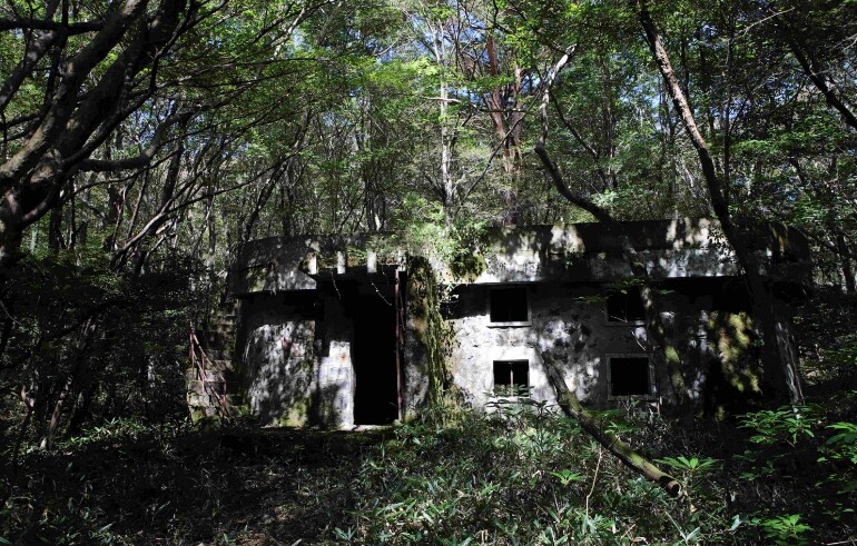 산림청, 2025년 국가산림문화자산 ...