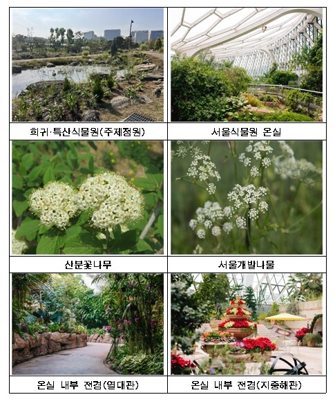 서울식물원 국가 희귀·특산식물 보전기...