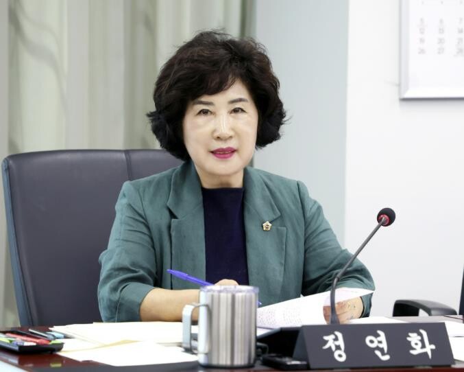 성남시의회 정연화 의원, 성남시 골목...