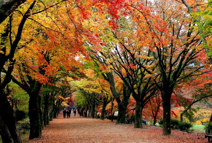 정읍시, 2025년 주요 관광지점 방...