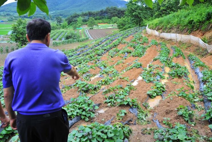 순창군, 유해야생동물 피해 농작물 보...