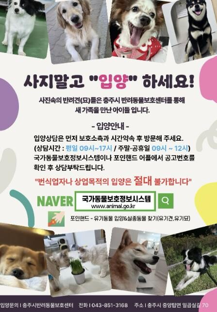 충주시, 유실·유기동물 입양비 지원으...