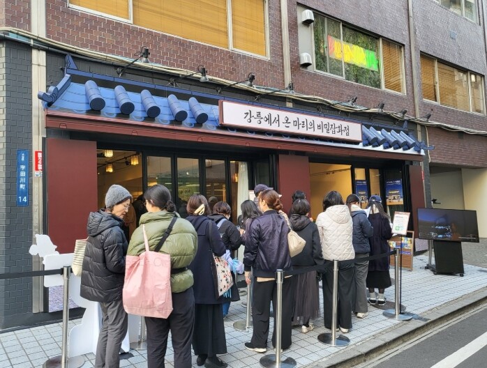 강릉시, 일본 시부야 팝업스토어 성황...