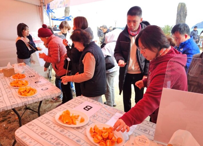 서귀포시, 현장 평가회로 입증된 ‘제...