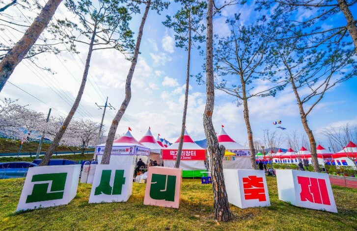 남해군 제8회 창선고사리축제 4월 2...