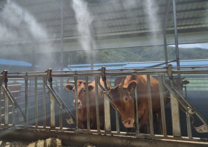 경남도, 소중한 재산을 보호하는 가축...