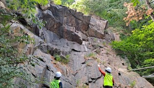서초구, 해빙기 맞아 공원·산림 421곳 안전점검 나선다!