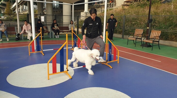 금천구, 반려견과 ‘동네방네 Happ...