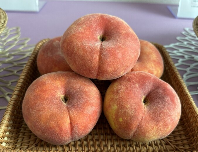 경상북도농업기술원 소비자 취향 저격 ...