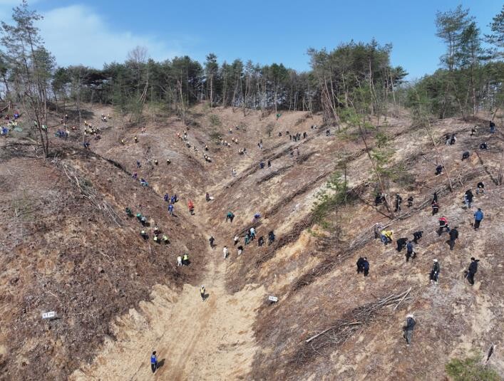 안동시, 제81회 식목일 기념 나무심...
