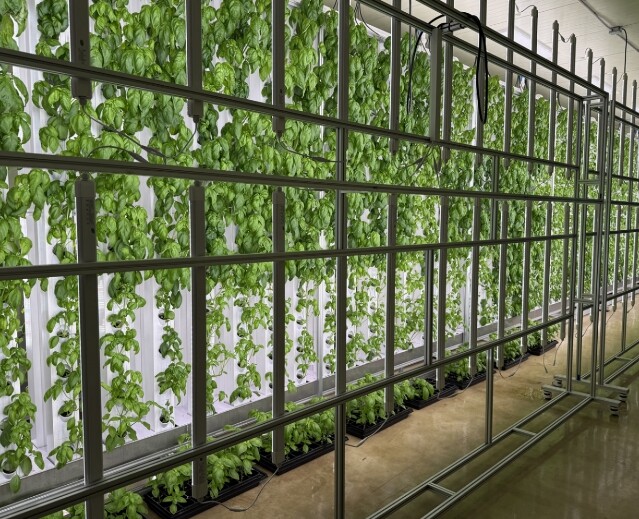 도심형 스마트팜 ‘대전팜’ 확대 추진...