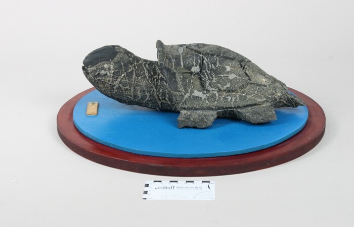 태백석탄박물관, 유물 기증으로 운영 ...