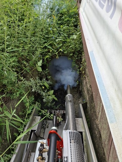 횡성군, 봄철 유충 감시 및 월동 모...