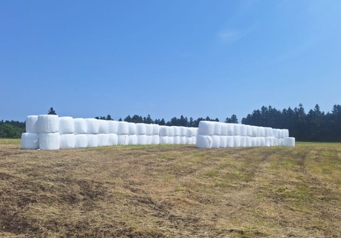 서귀포시, 중동분쟁 여파 국제 곡물가...