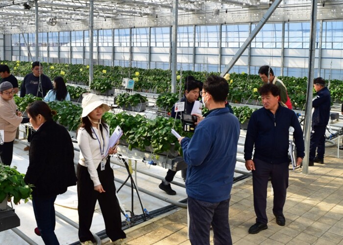 광주광역시, 토마토·딸기 스마트팜 실...