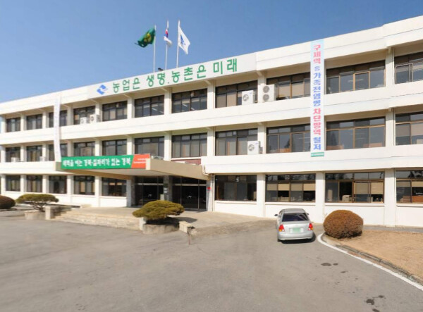 경상북도농업기술원, 생강 정식 전 씨...