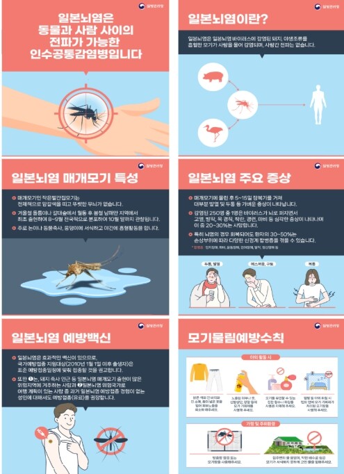 제주에서 올해 첫 일본뇌염 매개모기 확인.…주의보 발령에 예방수칙 당부