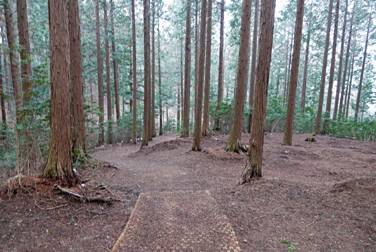 전북에서 봄을 느껴 봄, 가볼 만한 ...