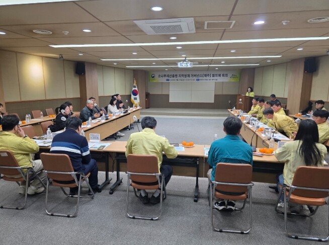 제주도, 소나무재선충병 청정지역 전환...