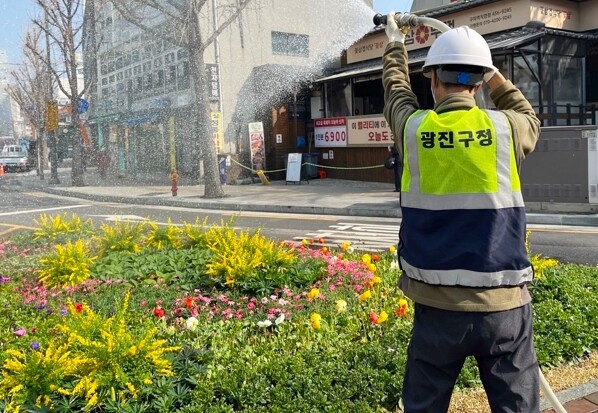 광진구, 도심 곳곳 봄꽃 길 조성… ...