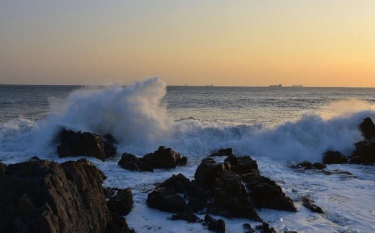 울산해경, 연안안전사고 위험예보제 ‘...