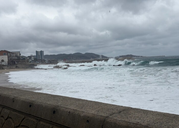 울진해경, 위험예보제'주의보&...