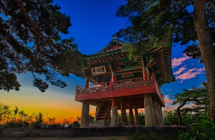 평화경제 거점 도시 강원 고성군, 드...