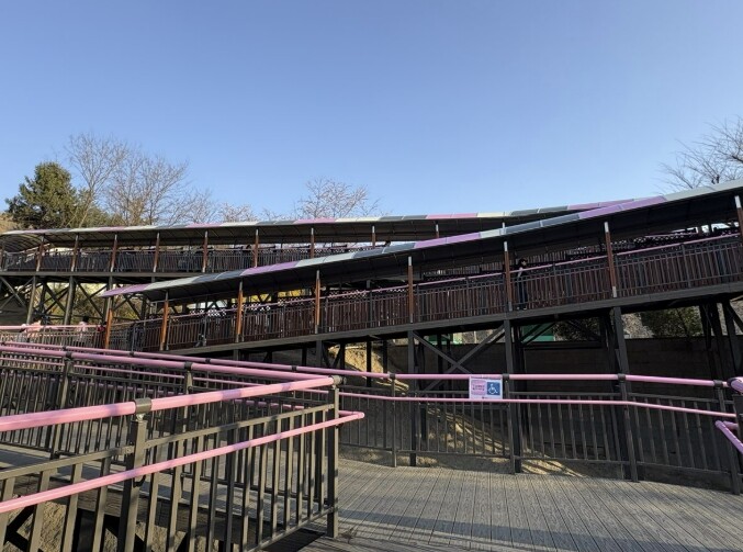 부천시, 원미산 진달래동산 '...