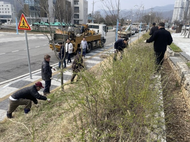 가평 청평면, 식목일 기념 나무 심고...
